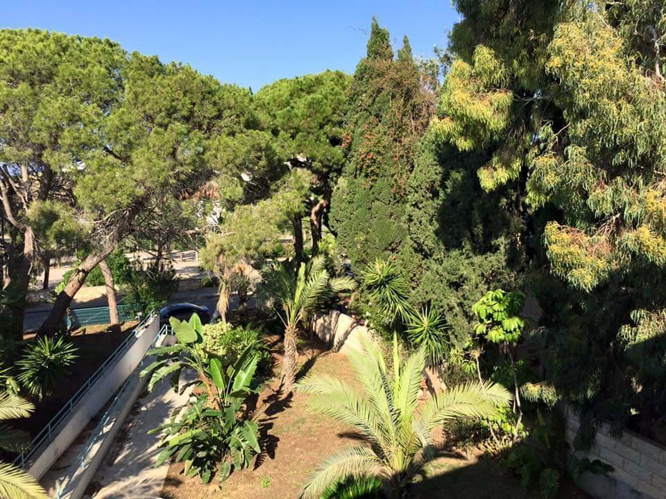 Carmel Mountain Motel Haifa Exterior foto
